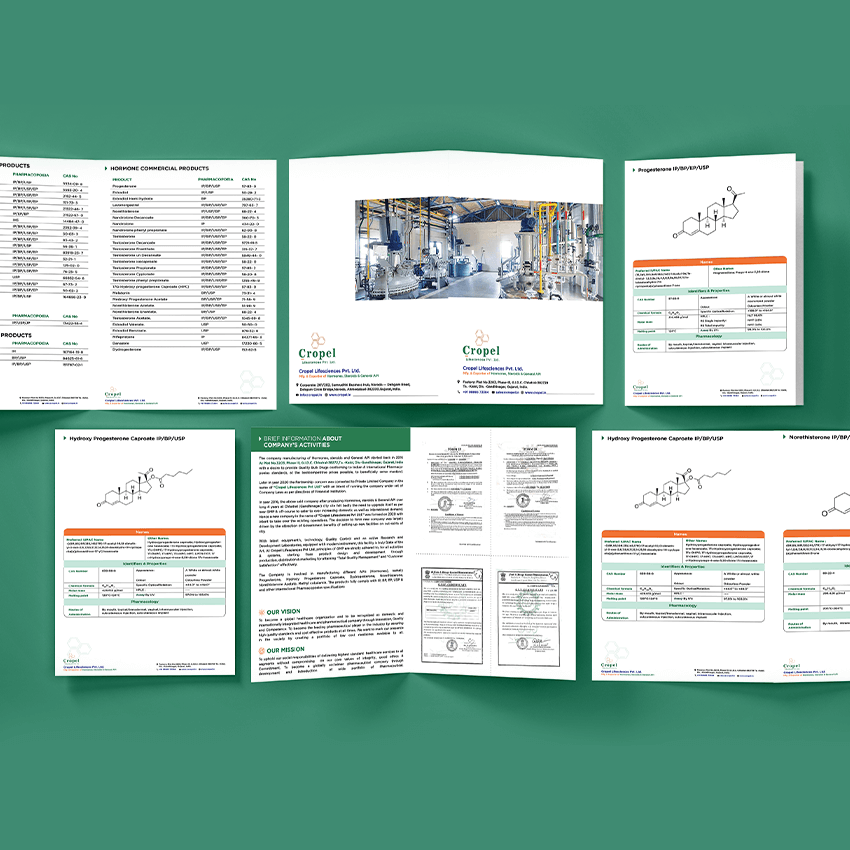 Brochure Mockup 1